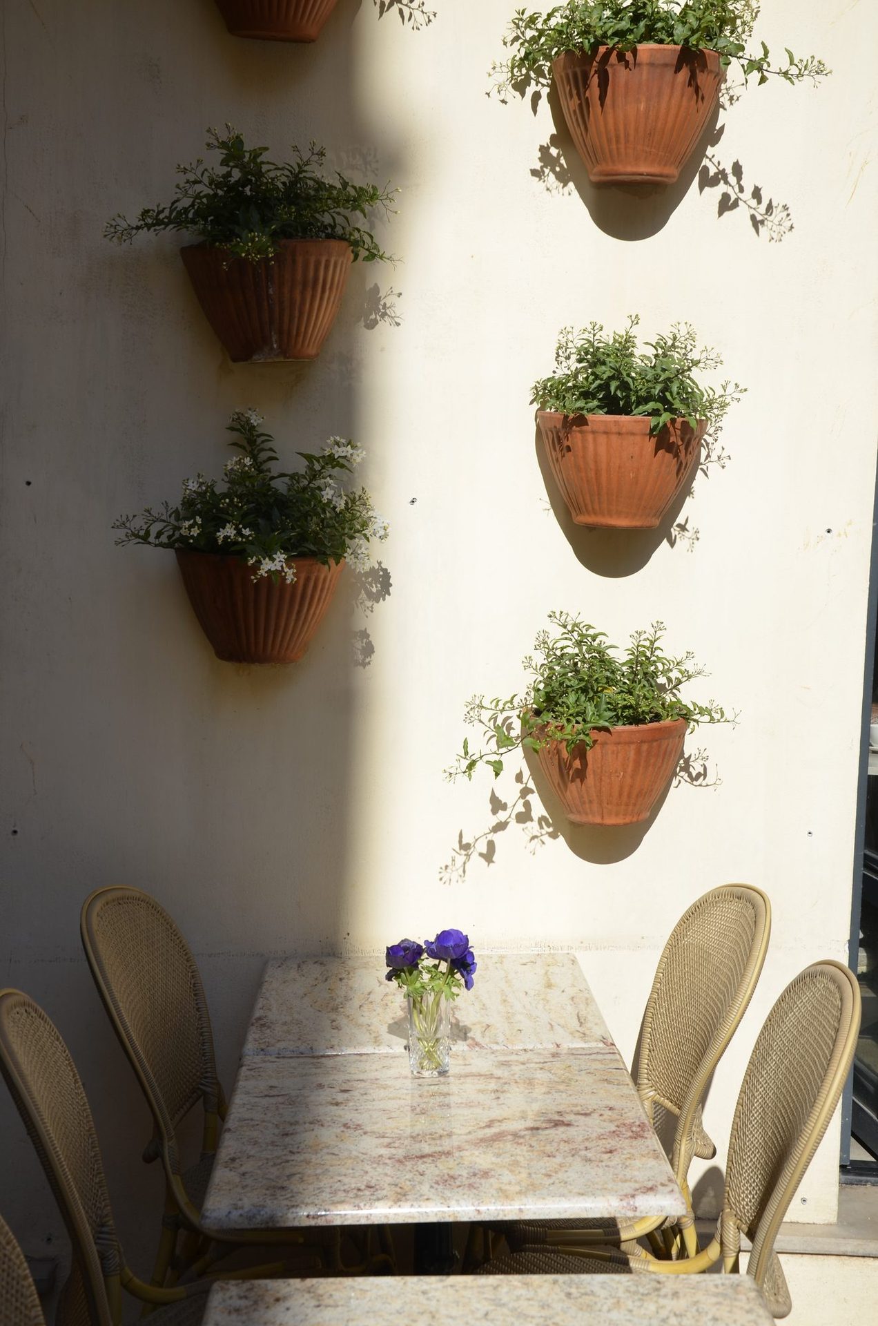 Mur terrasse Colde avec jardinières en terre cuite