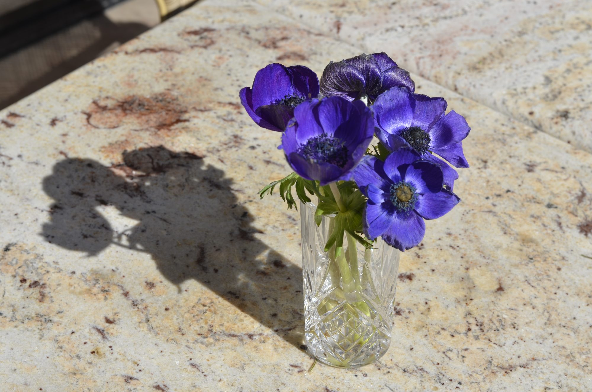 Bouquet d'anémones bleues sur table en marbre